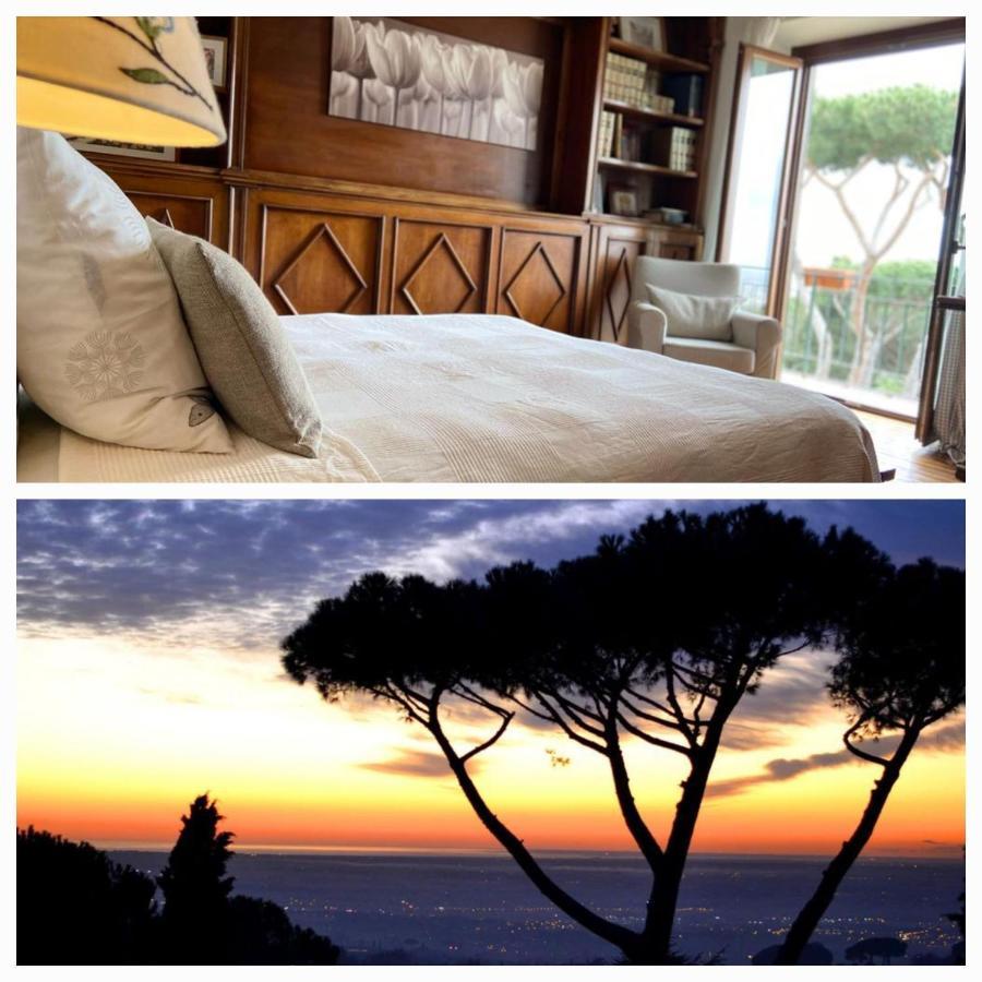 “Casa Amelie” Otel Grottaferrata Dış mekan fotoğraf
